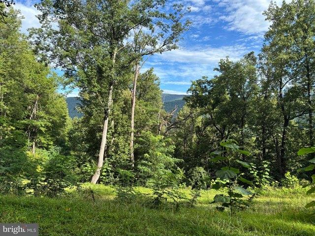 Land for sale in Virginia
