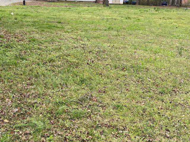 Land for sale in Lyman, South Carolina