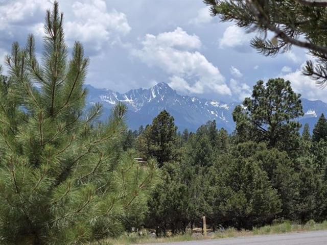 Land for sale in Ridgway, Colorado