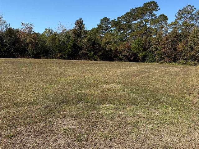 Land for sale in Aynor, South Carolina