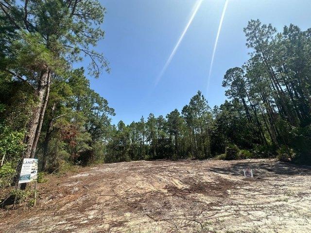 Land for sale in Palatka, Putnam County