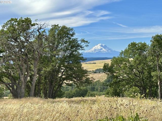 House for sale in Lyle, Washington