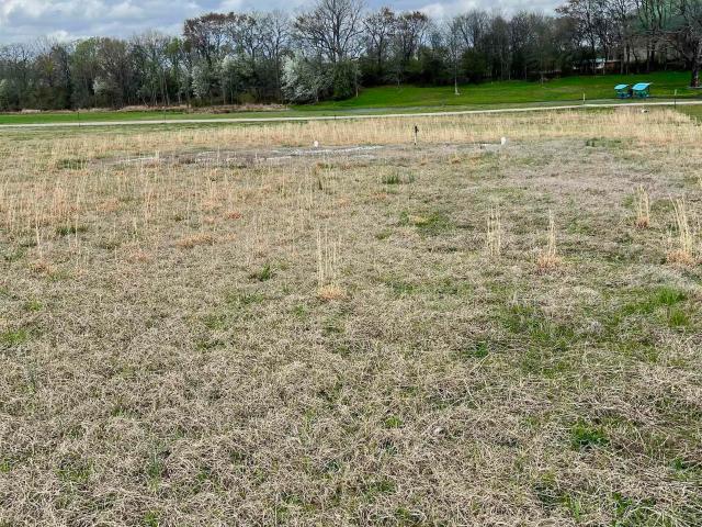 Land for sale in Ark