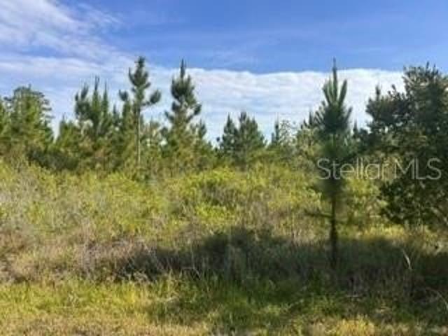 Land for sale in Indian Lake Estates, Florida