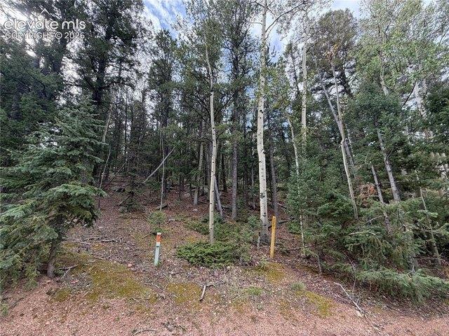 Land for sale in Divide, Teller County