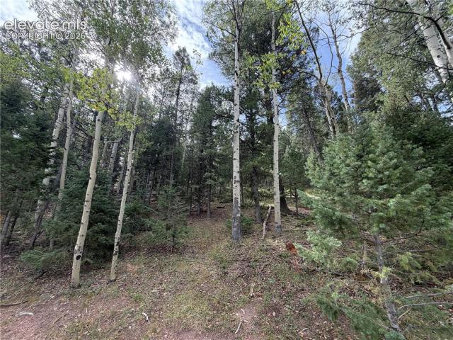 Land for sale in Divide, Teller County