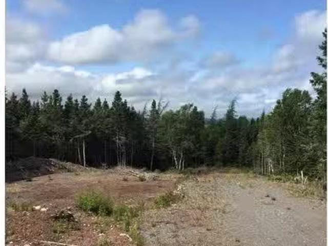 House for sale in Chapel Arm, Newfoundland And Labrador