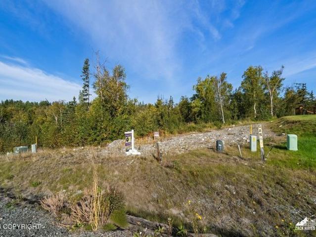 Land for sale in Palmer