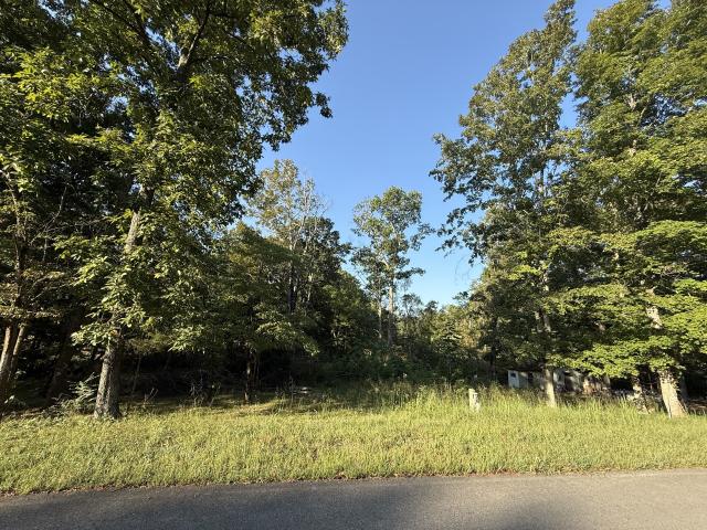 Land for sale in Vanleer, Middle Tennessee