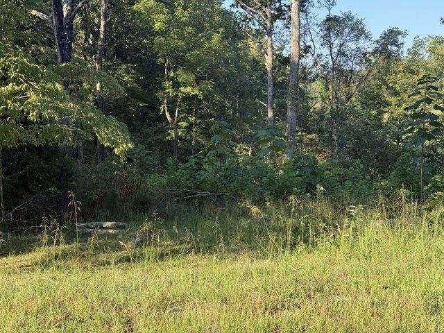 Land for sale in Vanleer, Middle Tennessee