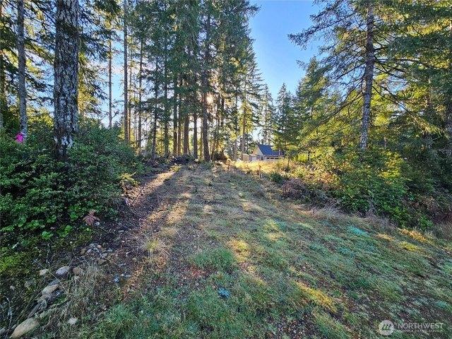 Land for sale in Union, Mason County