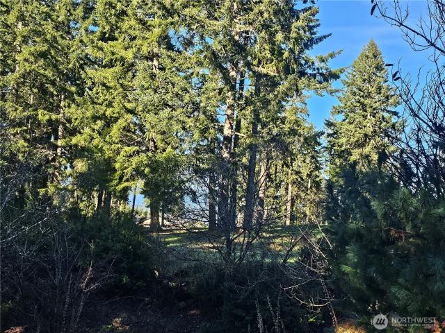 Land for sale in Union, Mason County