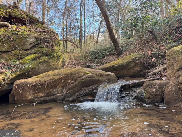 Land for sale in Danielsville, Georgia