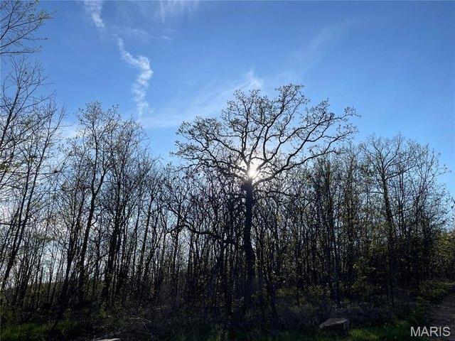 House for sale in Piedmont, Missouri