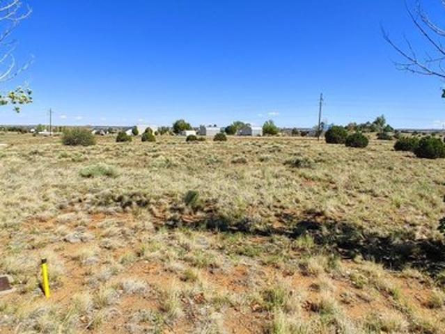 Land for sale in Navajo, Arizona