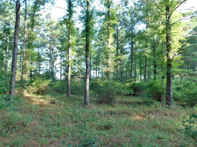 Land for sale in Conroe, Montgomery County