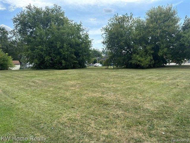 Land for sale in Mount Morris, Michigan