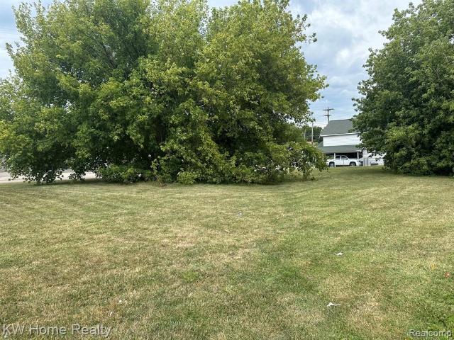 Land for sale in Mount Morris, Genesee County