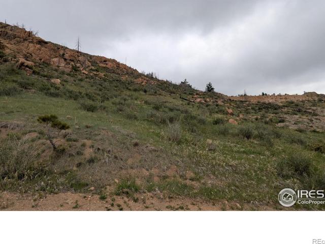 Land for sale in Livermore, Colorado