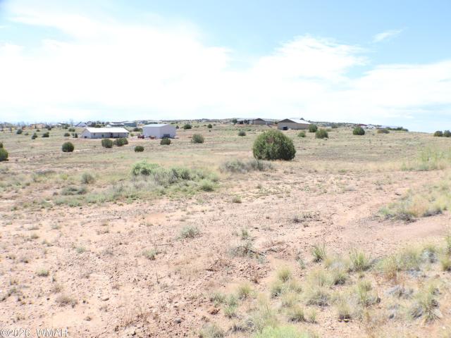 Land for sale in Navajo, Arizona