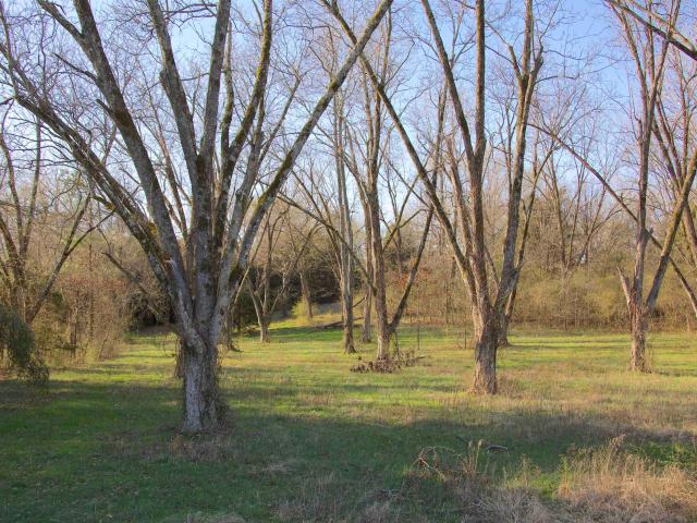Land for sale in Tennessee