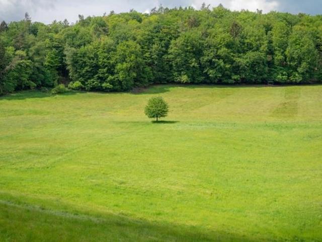 Land for sale in Tennessee