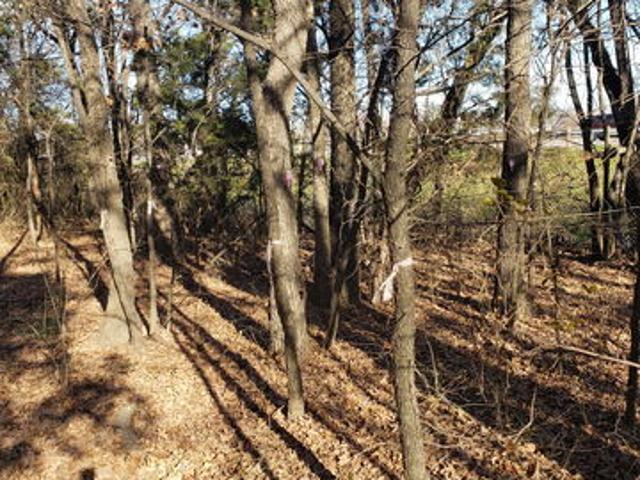 Land for sale in Balch Springs, Texas