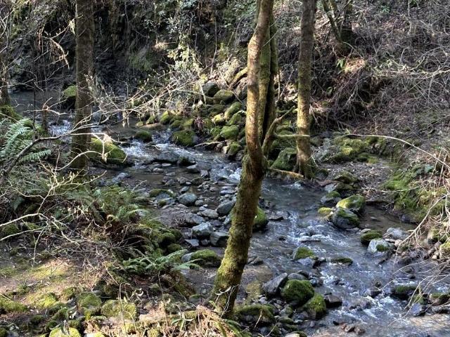 Land for sale in Camp Meeker, California