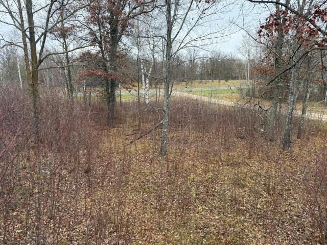 House for sale in Beltrami, Minnesota