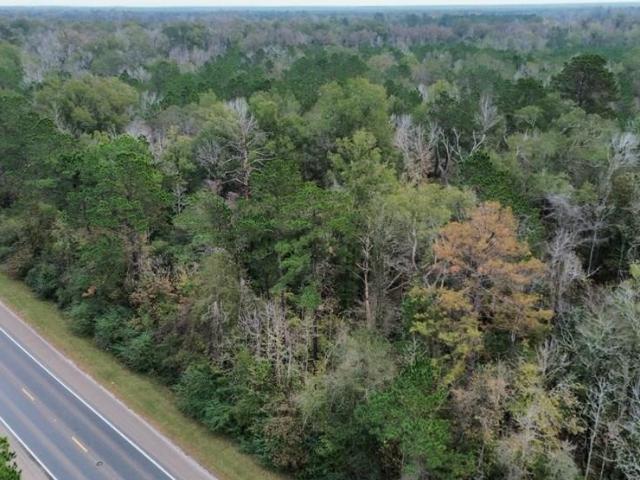 Land for sale in Buckhorn, Bon Wier