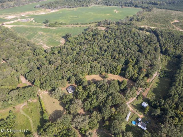 Land for sale in Morton, Mississippi