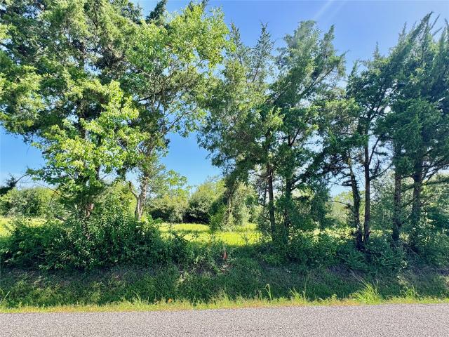 Land for sale in Santa Fe, Texas