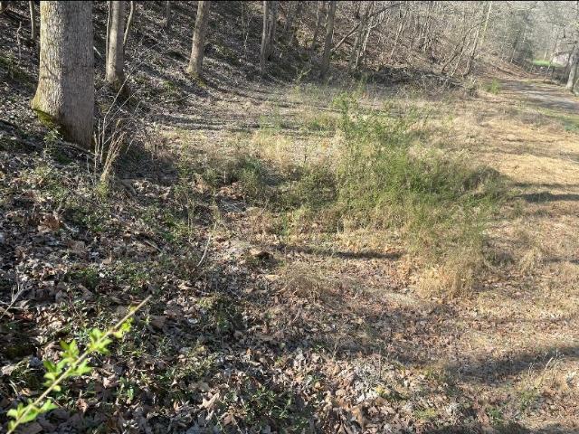 Land for sale in Tennessee