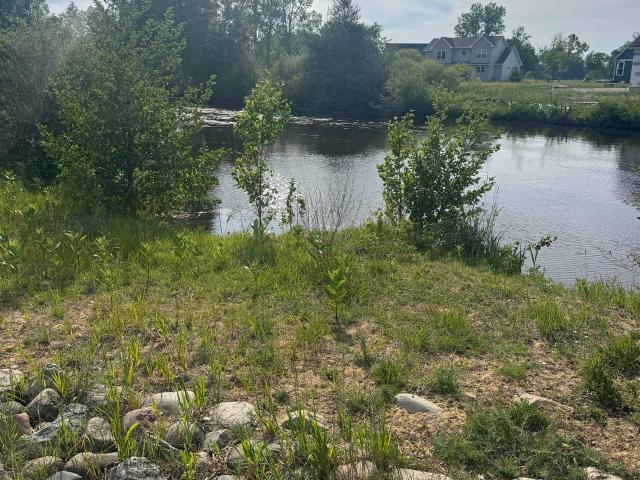 Land for sale in Isabella, Michigan