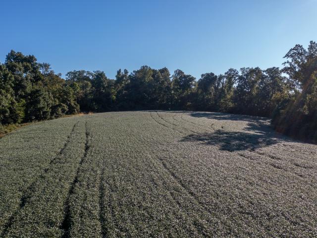Land for sale in Spencer, Owen County
