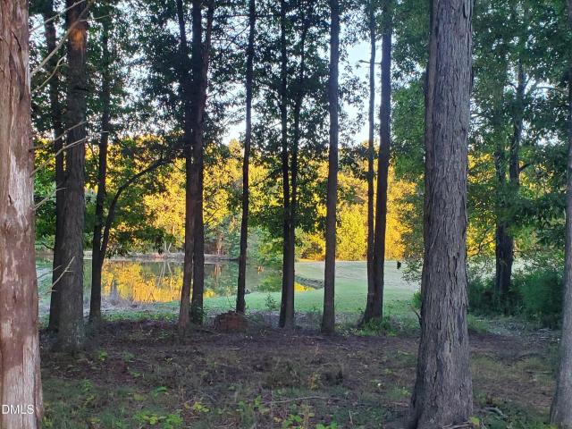 House for sale in Siler City, Chatham County