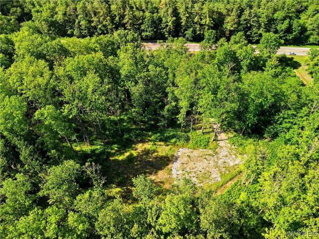 Land for sale in Wales Center, New York