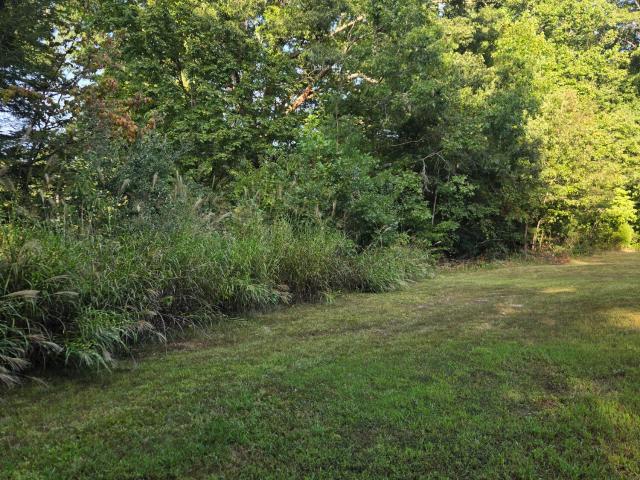 House for sale in Mill Creek, Sunbright