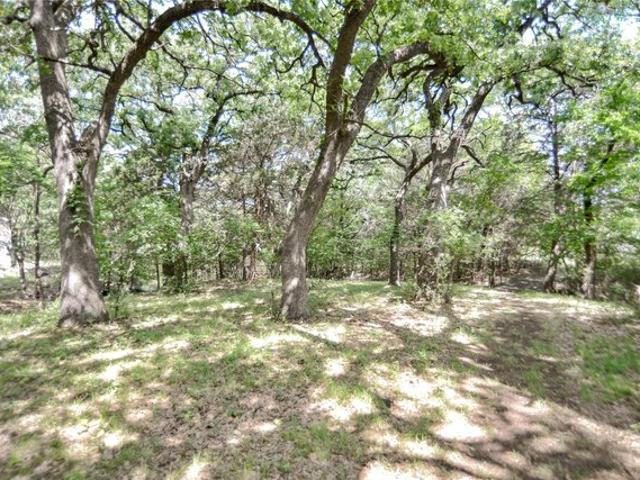 Land for sale in Sadler, Texas