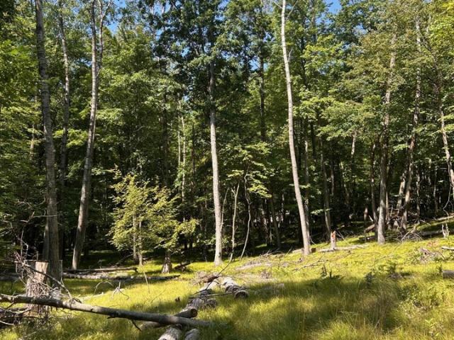 Land for sale in Morton Township, Mecosta County