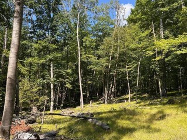 Land for sale in Canadian Lakes, Morton Township
