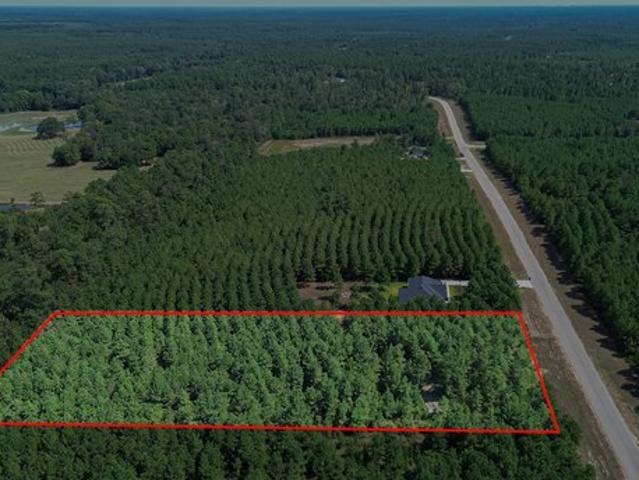 Land for sale in Willis, Texas