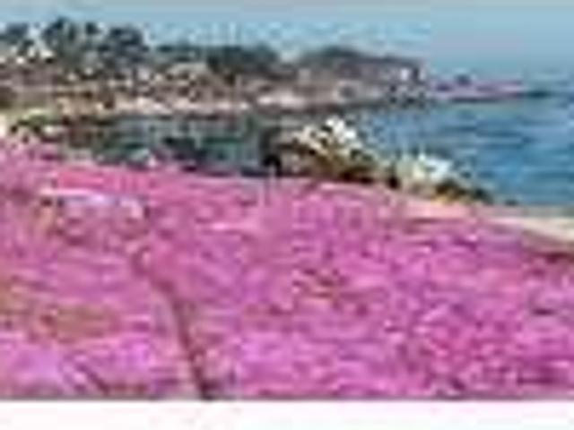 House for rent in Pacific Grove, California