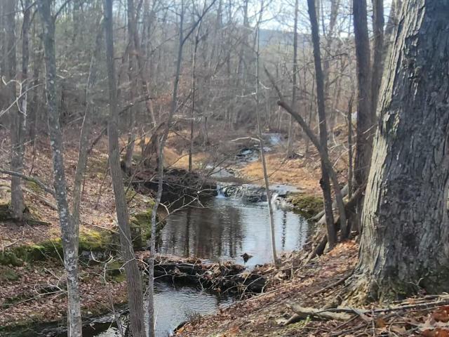 House for sale in Cornwallville, New York