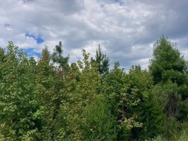 Land for sale in Virginia