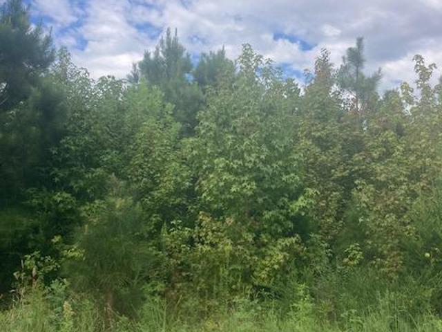 Land for sale in Virginia