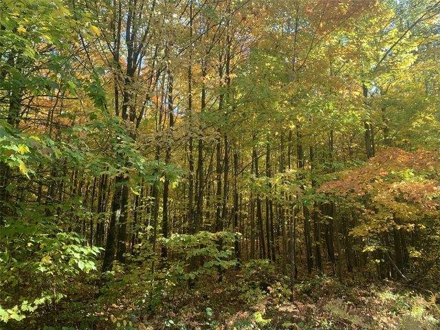 Land for sale in Glidden, Town of Jacobs