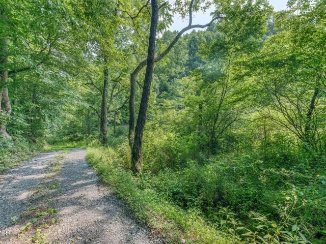 Land for sale in Tennessee