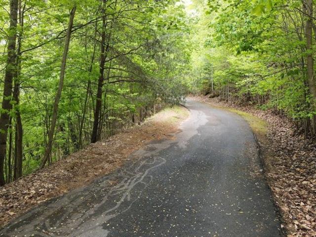 Land for sale in Blairsville, Union County