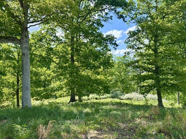 Land for sale in Laurel, Kentucky